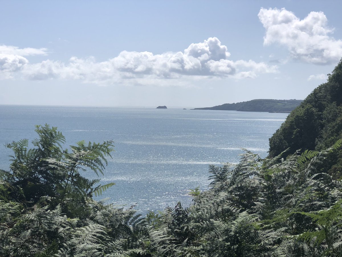 A stunning sea view on superb section  of the SW Coast path! #walks #shaldon #torquay #swcoastpath #holiday #holidaycottage #torquay #visitdevon #breaks #vacation #rental #accommodation #guardiantravel #lonelyplanet #ifootpath