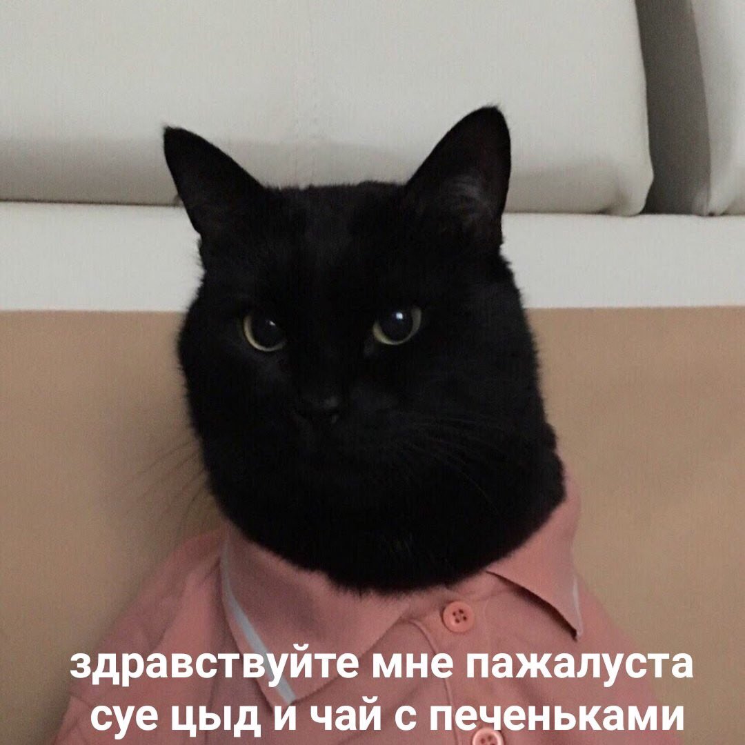 JuliaRay691's tweet photo. Когда срыв: https://t.co/IFYTNaoiBI