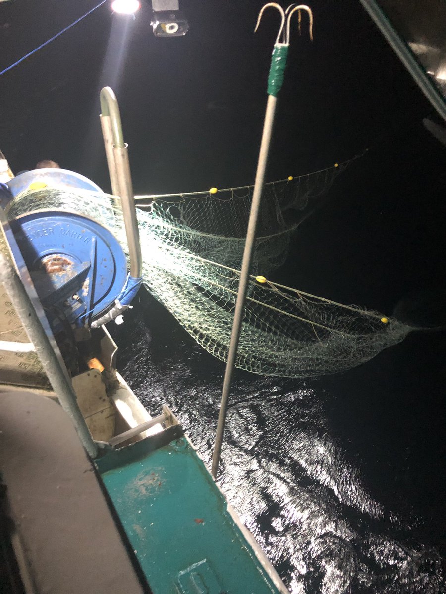 Ryan_Davey1986's tweet photo. Creeping, only people who work static gear will understand.............. https://t.co/NPcb7JNYHG