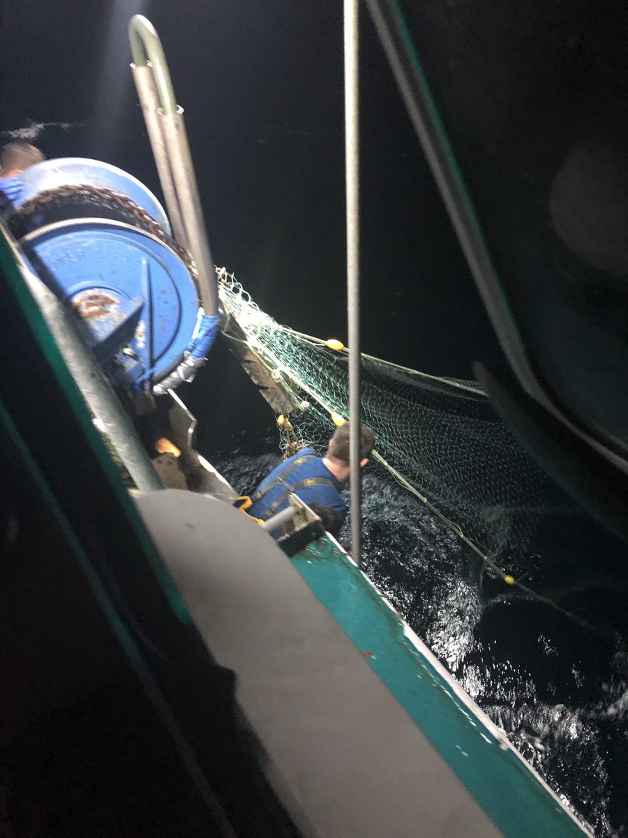 Ryan_Davey1986's tweet photo. Creeping, only people who work static gear will understand.............. https://t.co/NPcb7JNYHG