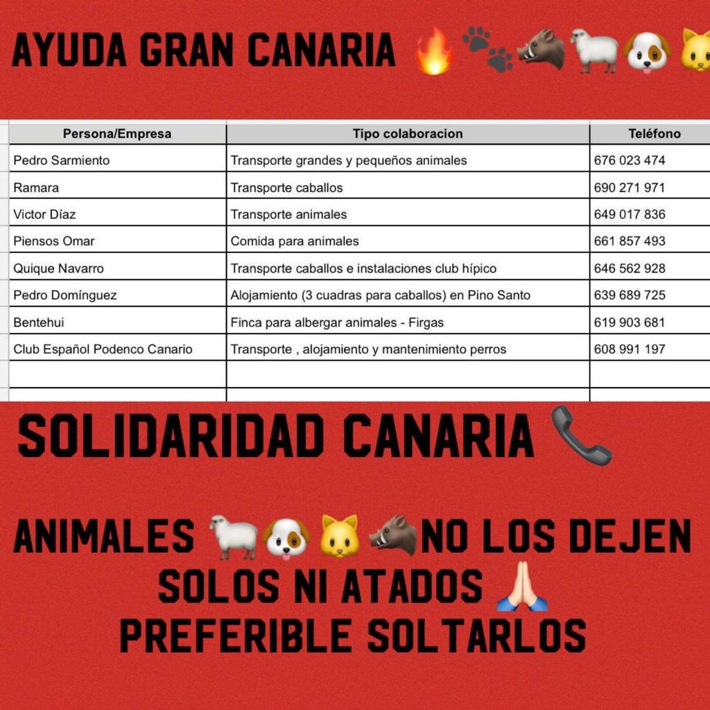 Martafresno's tweet photo. Por favor 😭💔 #IFValleseco #IFGranCanaria https://t.co/ZRbBUKVIma