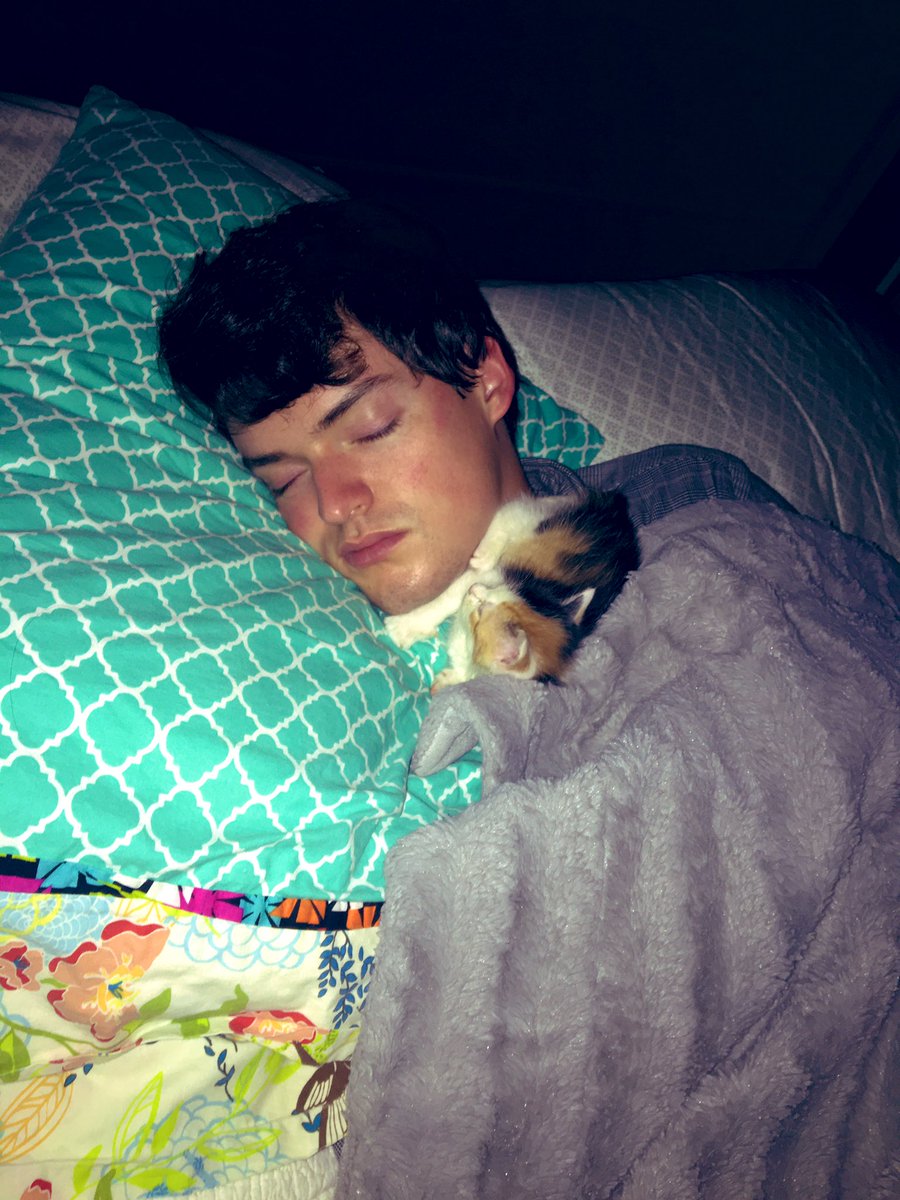 I have never witnessed such cuteness. #catnap