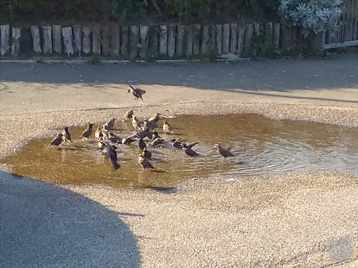 KentstepP's tweet image. Ok, somemore photos, this time from todays late afternoon walk along the beach and prom at littlehampton, West Sussex, England, UK. Set 3