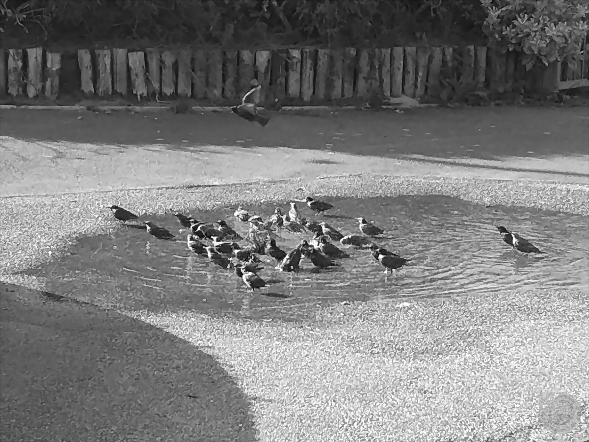 KentstepP's tweet image. Ok, somemore photos, this time from todays late afternoon walk along the beach and prom at littlehampton, West Sussex, England, UK. Set 3