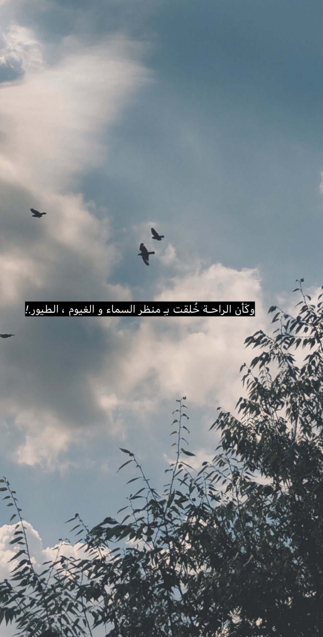 روح لله هاربة م لهمة On Twitter ص رت احب كاليوم اشوف الغيوم احس الراحة تستوطن قلبي راحة نفسية في منظر الغيوم