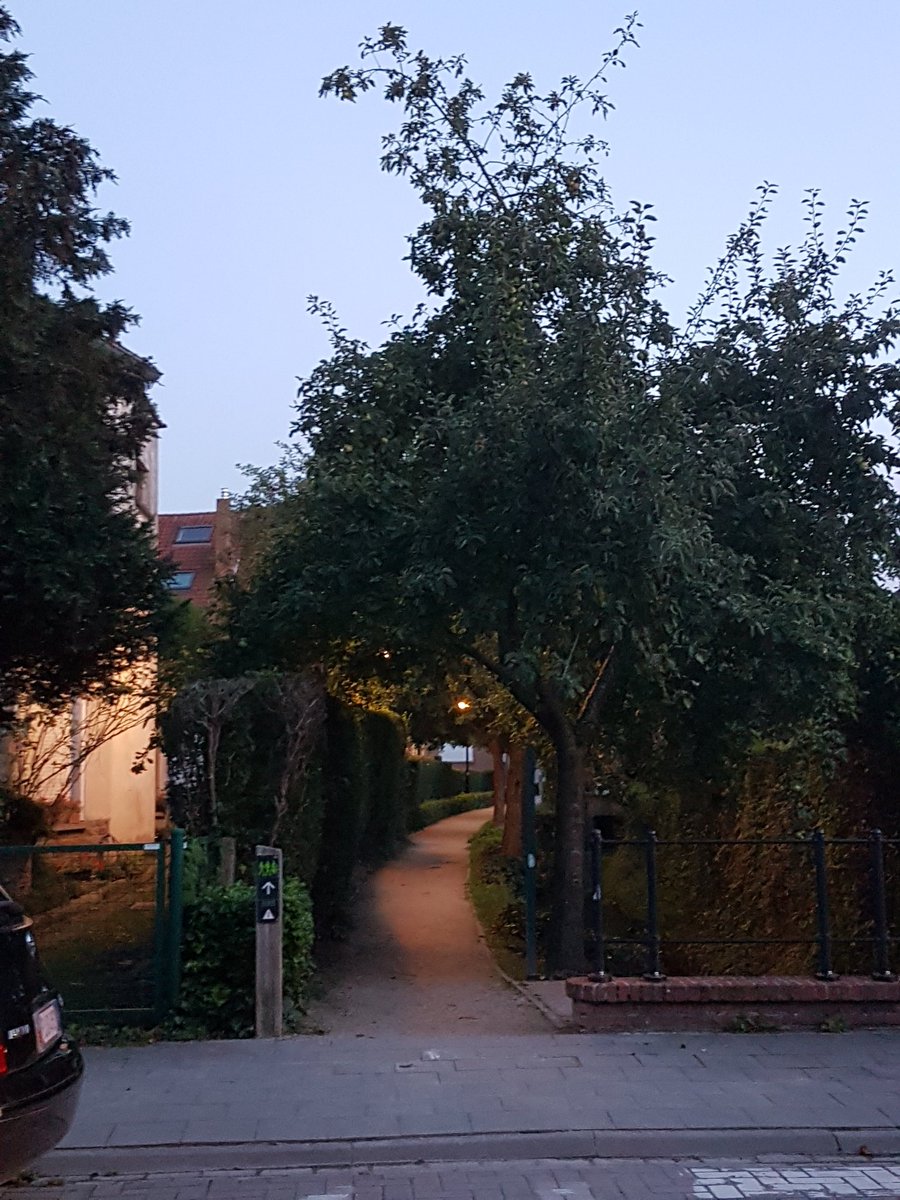 BColiflower's tweet image. Bonne soirée #Auderghem