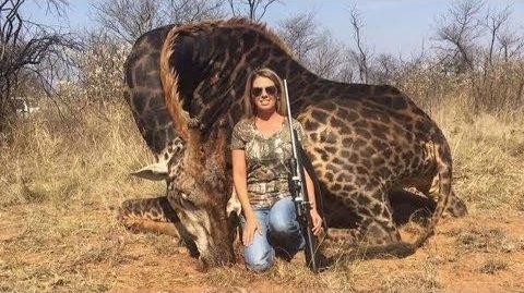 Protect_Wldlife's tweet photo. #NextYearIn5Words

Trophy Hunting Will Be Banned 🤞🤞🤞!!!

RT if you want a GLOBAL ban on ALL #TrophyHunting NOW!!! @RickyGervais. https://t.co/gPK0Oecru9