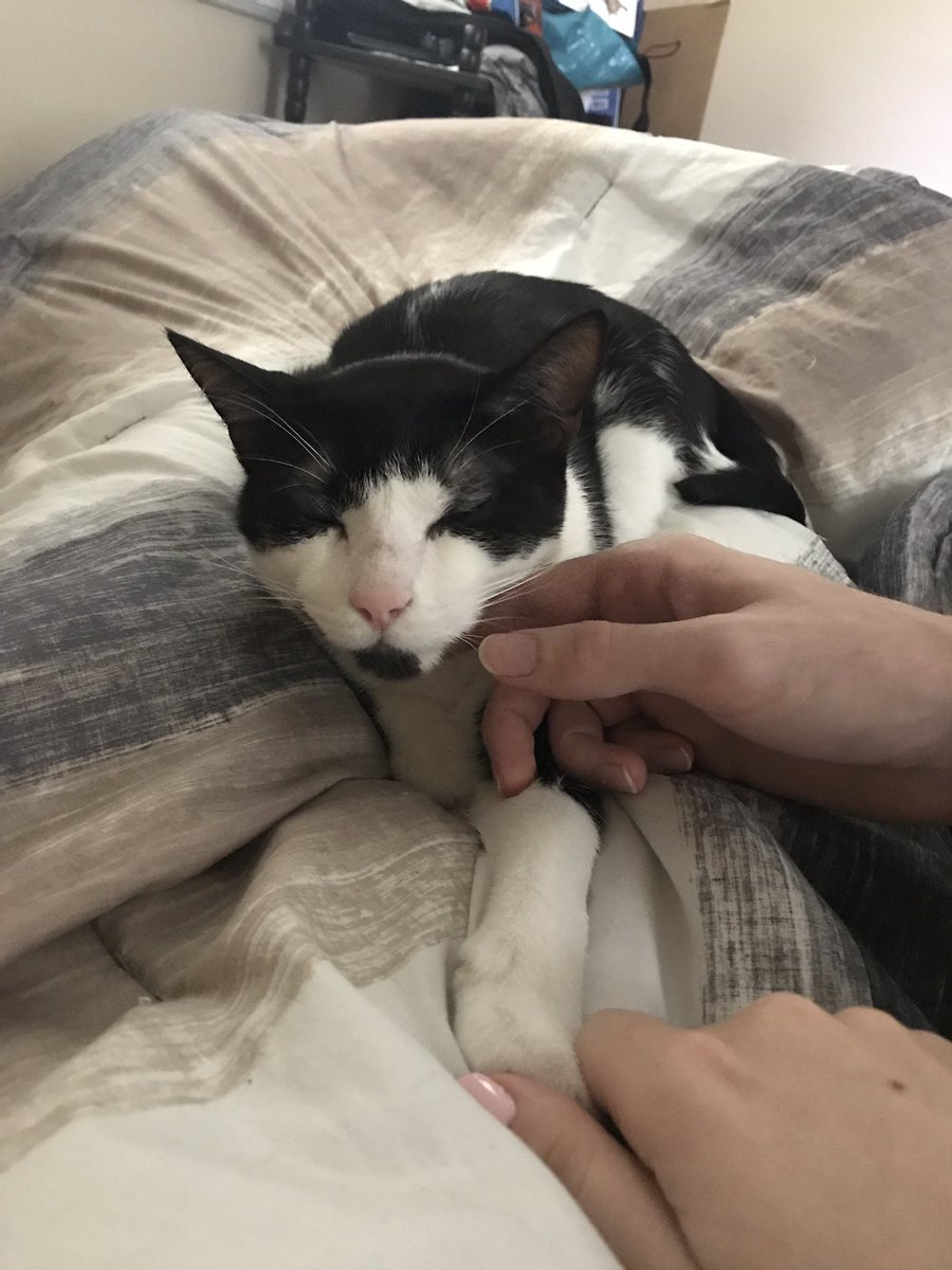 bentotheboy's tweet photo. felemg Very Afecsyonate on my latst Day visitong dade,,,,  i cuddle and Receibe hand holds from both Momeby and Dade https://t.co/ye7XIjBeYP