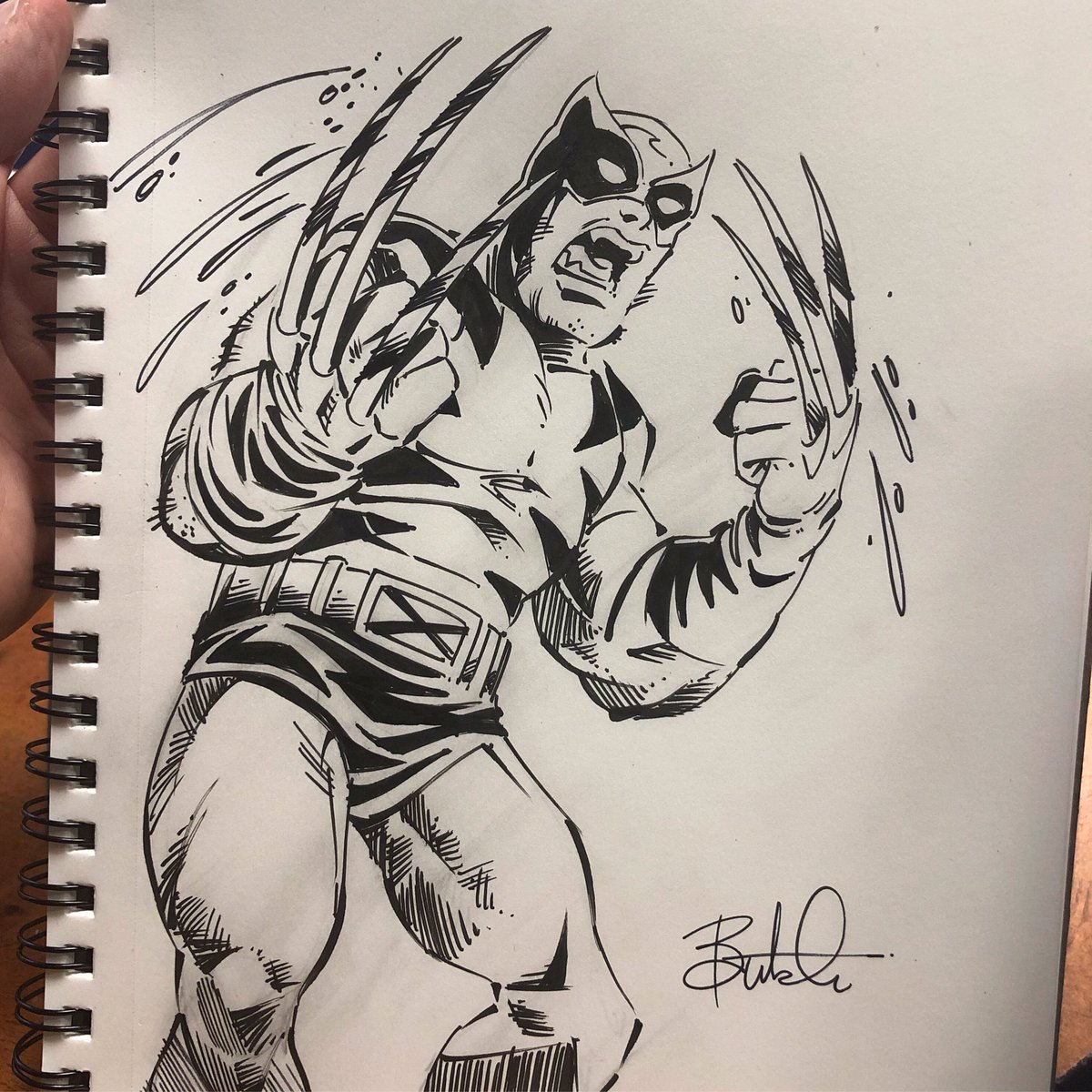 realhartman's tweet image. Wolverine. Progression.#butchhartmandraws