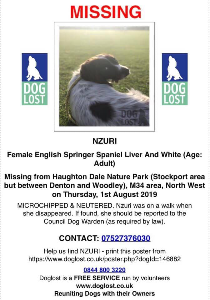 LostPetsWales tweet media