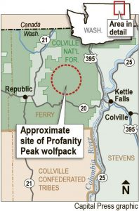 protectthewolve's tweet image. WDFW kills  OPT pack  - #EndangeredSpeciesList #RestoreWolvesToESL #WolvesInWashington - 

So the Totals that we are seeing, before the Court Date on August 16th was that 6 wolves had already been slaughtered, The Morning... - protectthewolves.com/wdfw-kills-opt… -