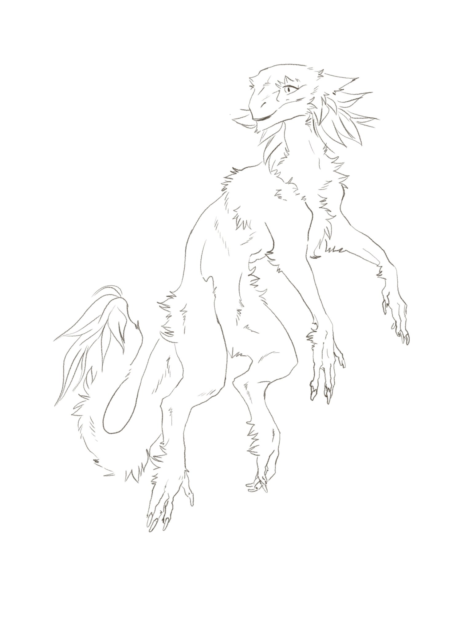 Featured image of post The Best 24 Lineart F2U Sergal Base