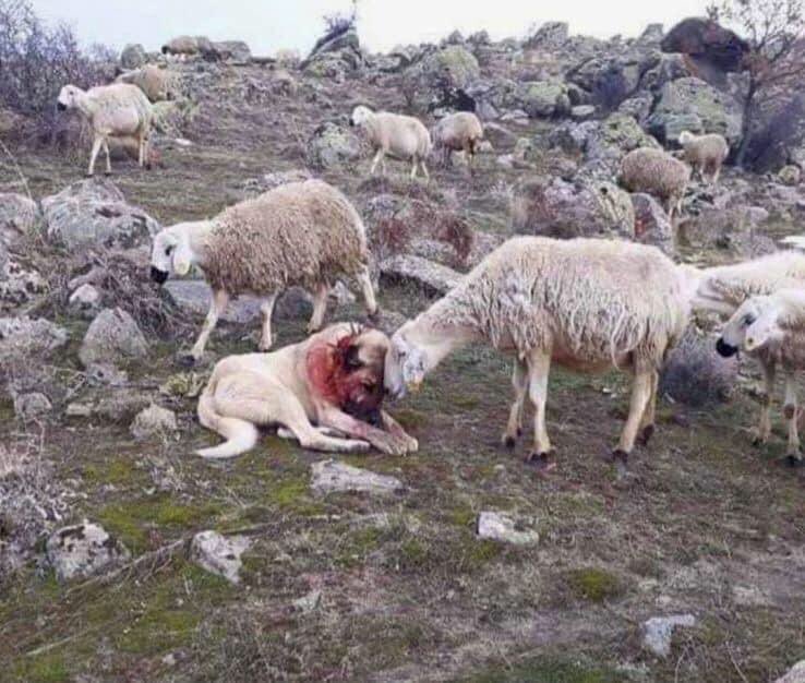 TimKennedyMMA's tweet photo. Know your purpose. https://t.co/DNnUJ3MS7Y