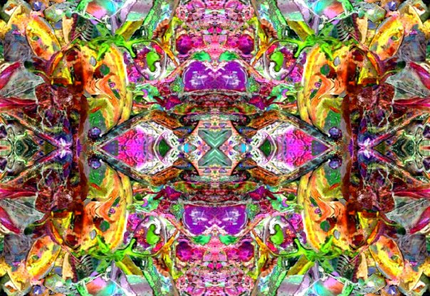 W. Rix Victory II tweet media