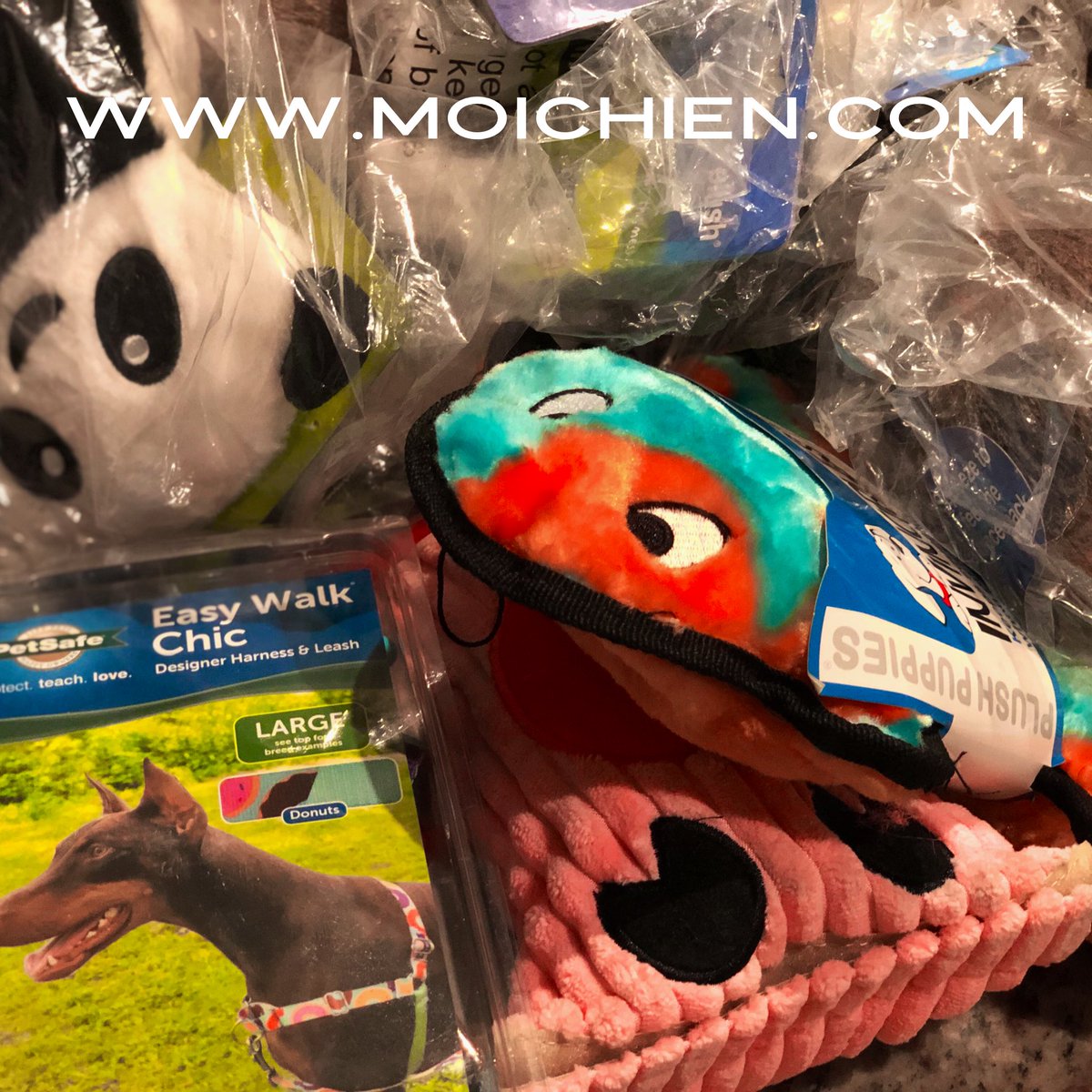 MoiChien2's tweet photo. 📣  Los nuevos juguetes de tu perrihijo están listos 👏🏽👏🏽👏🏽

📣 MOICHIEN
.
.
.  
Tu tienda en línea  https://t.co/eh0irH3FHS
.  .  .

#PlayaDelCarmen #Comunidad #Moichien #ComunidadPerruna @MoiChien2 @PlayaCarla @Soy_Playense @novedadesqroo https://t.co/wMWEQdWkpZ