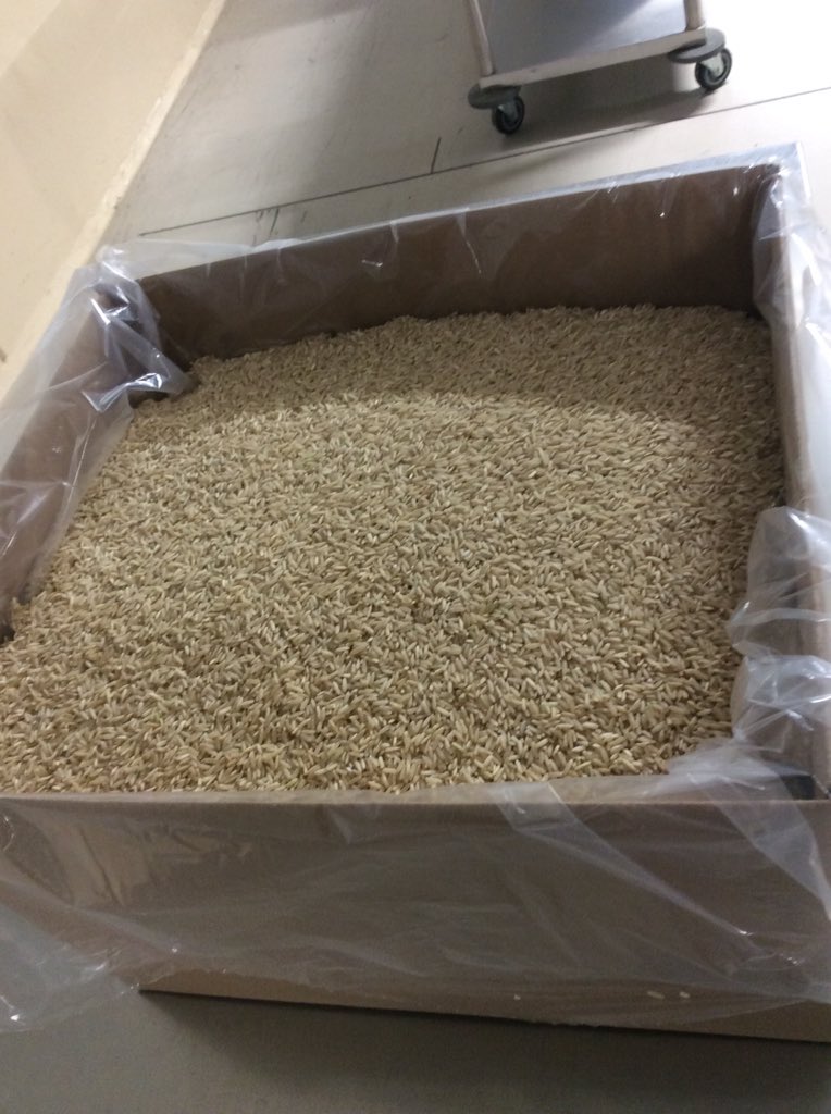 sa5137's tweet photo. AT&amp;T volunteers repacking 7,650 lbs. of brown rice at the Greater Chicago Food Depository. https://t.co/DeBrH47p2B