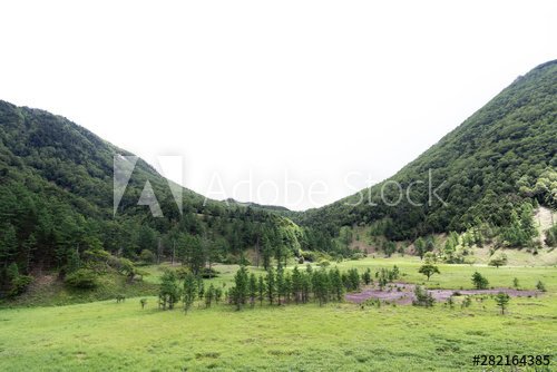 刈込湖周辺の風景 https://stock.adobe.com/jp/stock-photo/id/282164385 … @adobestock #stockphoto #stockphotos #photo #photography #nature #日光 #ピクニック #ハイキング #登山 #自然 #平原 #観光地 #観光スポット
