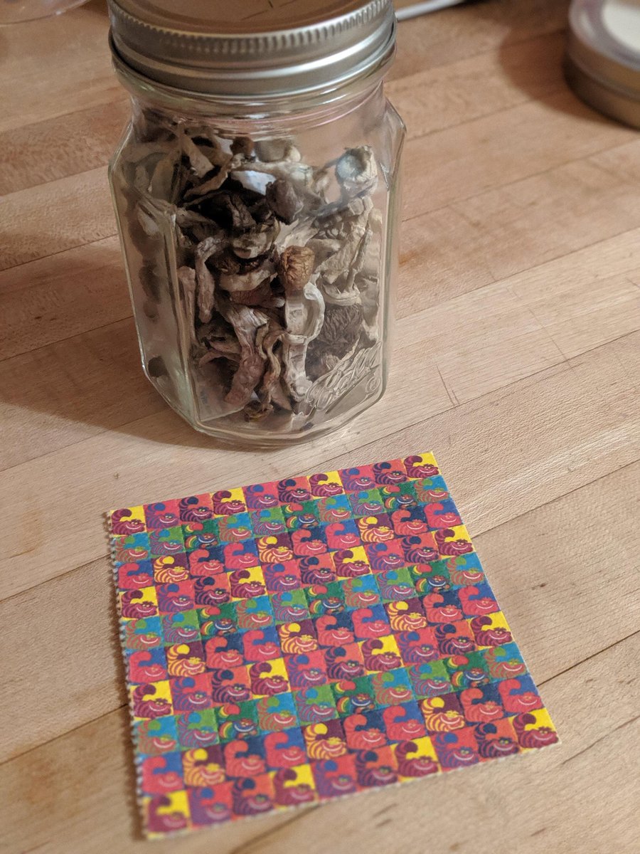 Lamardatripper's tweet photo. Everything you need.. Get started 
#pschedelic #trippy #shrooms #lsd https://t.co/IrLZ1him1y