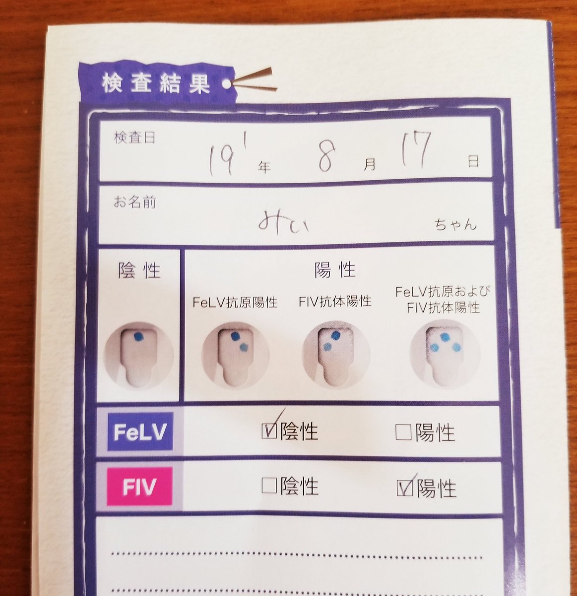 皆様沢山のRT・リプ
本当に有難う御座います

あるご夫婦さんですが
旦那様が急逝されてしまい
奥様も病気があり
猫ちゃんの面倒をみる事が
出来なくなってしまいました

お子様もいない為 
この子を可愛がって下さる方
里親様を探しています

推定2歳  男の子
キャリアではありますが
とても元気⬇