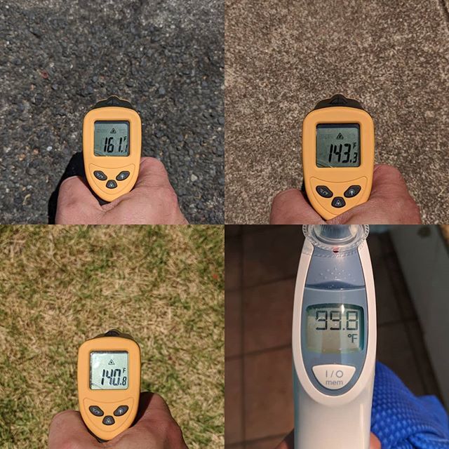 lachance's tweet photo. Some temperature observations from today. Street, sidewalk, grass and me, after mowing the yard. #heatwave #texas #atx https://t.co/C1xDgixFZy https://t.co/wRqW2qlzM0
