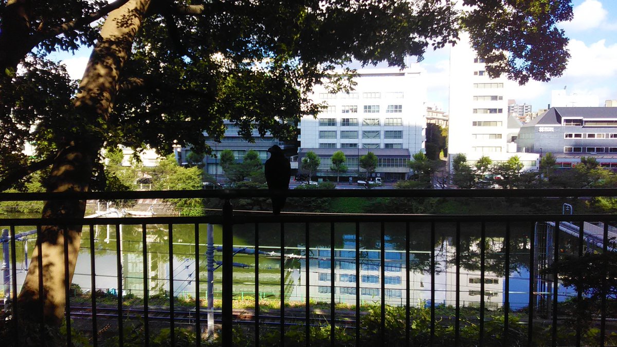 taku_oikawa's tweet photo. 2019年8月5日 月曜日 7:44📷#外濠公園
カラスが気配を消して手摺りの上からお堀を覗いていた
何を狙っているのかな❓
暑いし時間も無いのでそのまま通り過ぎます😁
お先に失礼‼
#江戸城外濠 #濠 #堀 #Moat #hendek #ров #fossato
#Foso #Σίτα #vallihauta #鴉 #Crow #Cuervo
https://t.co/3vh3ekbKuY https://t.co/okoN3vW7cV