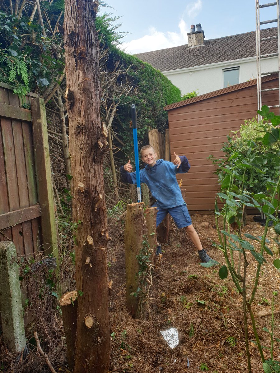 failedheart's tweet photo. Nice help from the #boy today... hard work..goodbye #Trees #Sunback https://t.co/zI2uTbwIve