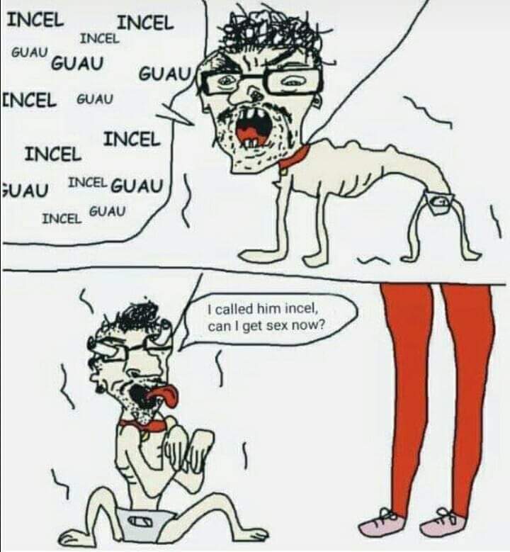 A comunidade gamer e geek do fórum é Incel e Machista? - Página 2 ECSEGh8XoAUJ2m8