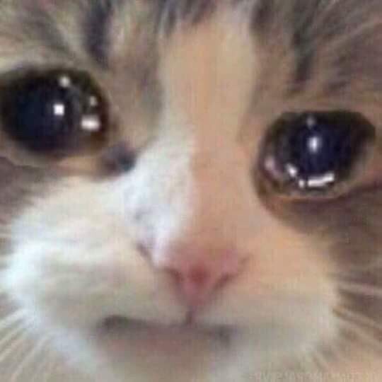 KnifyWifey's tweet photo. Ever just get mad and talk to whatever your upset at like it'll understand? https://t.co/nAMrlisXX8