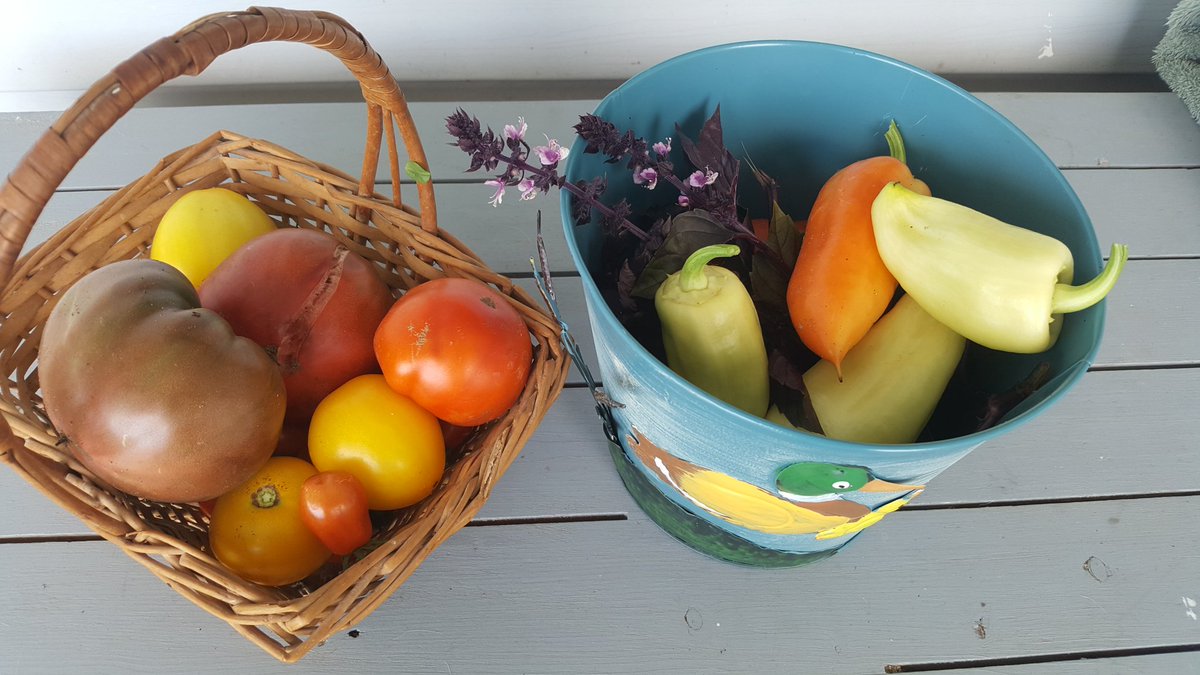 Dillon Cities tweet media