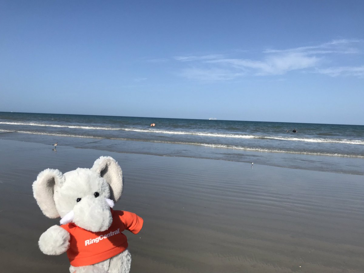 RingCentralDevs's tweet image. The @RingCentral #Developers team and Ringo are excited for @CoderCruise tomorrow!! Make sure to say hi to us and share all your awesome moments with us by tweeting at #RingcentralDevs and #Codercruise 😁🎉!! #Devlife #developersonaboat