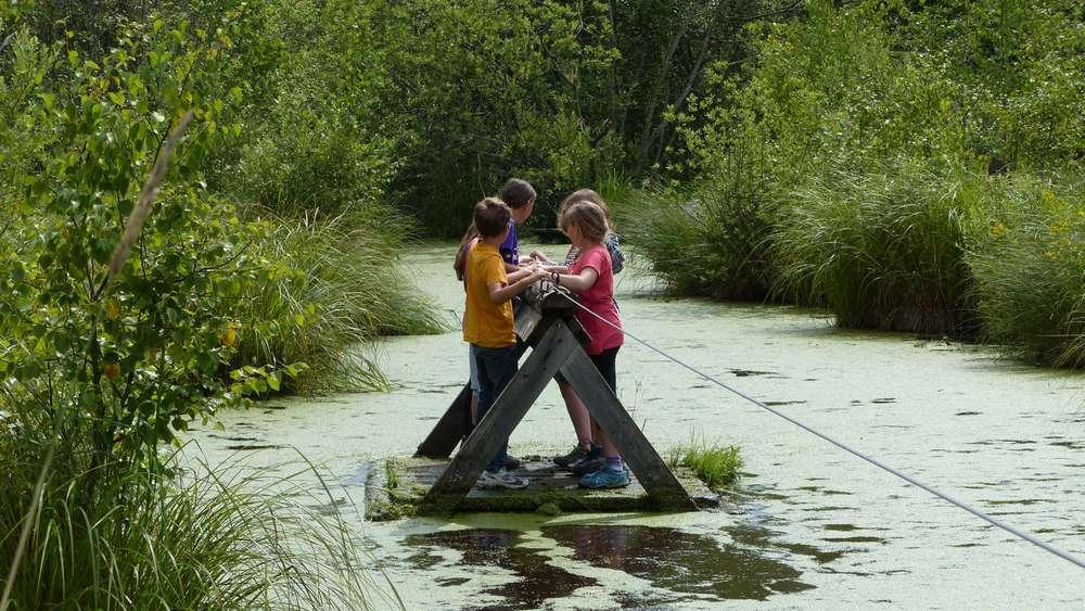 MechTech4's tweet image. #Question: beneath a stone pit
who has ever built a raft? #KoinRobot