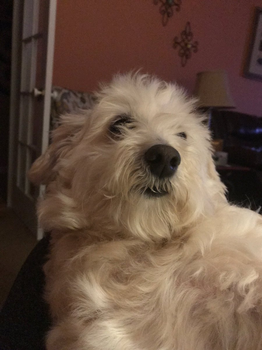 ectchome's tweet image. 