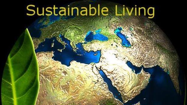 DV7radio's tweet photo. Thinking Outside the Box on Environmental Issues, Guest: Peter Klepeis PhD Colgate University Monday 9am/9pmET The Story Walker Hour #Radio Wendy Fachon #Sustainable #Living News writer #naturewalker #Sustainability Platform LISTEN LIVE: https://t.co/bRtHrAxpfa @DV7radio https://t.co/XC5uRTfH83