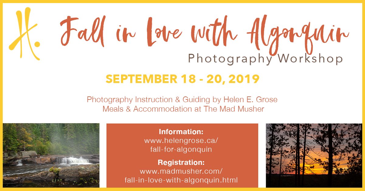 HelenGrose's tweet photo. The Gallery is Open! - https://t.co/hAslL12tgf #Muskoka #MuskokaArtsandCrafts #ARTrailMuskoka https://t.co/n7j9YRzDSe