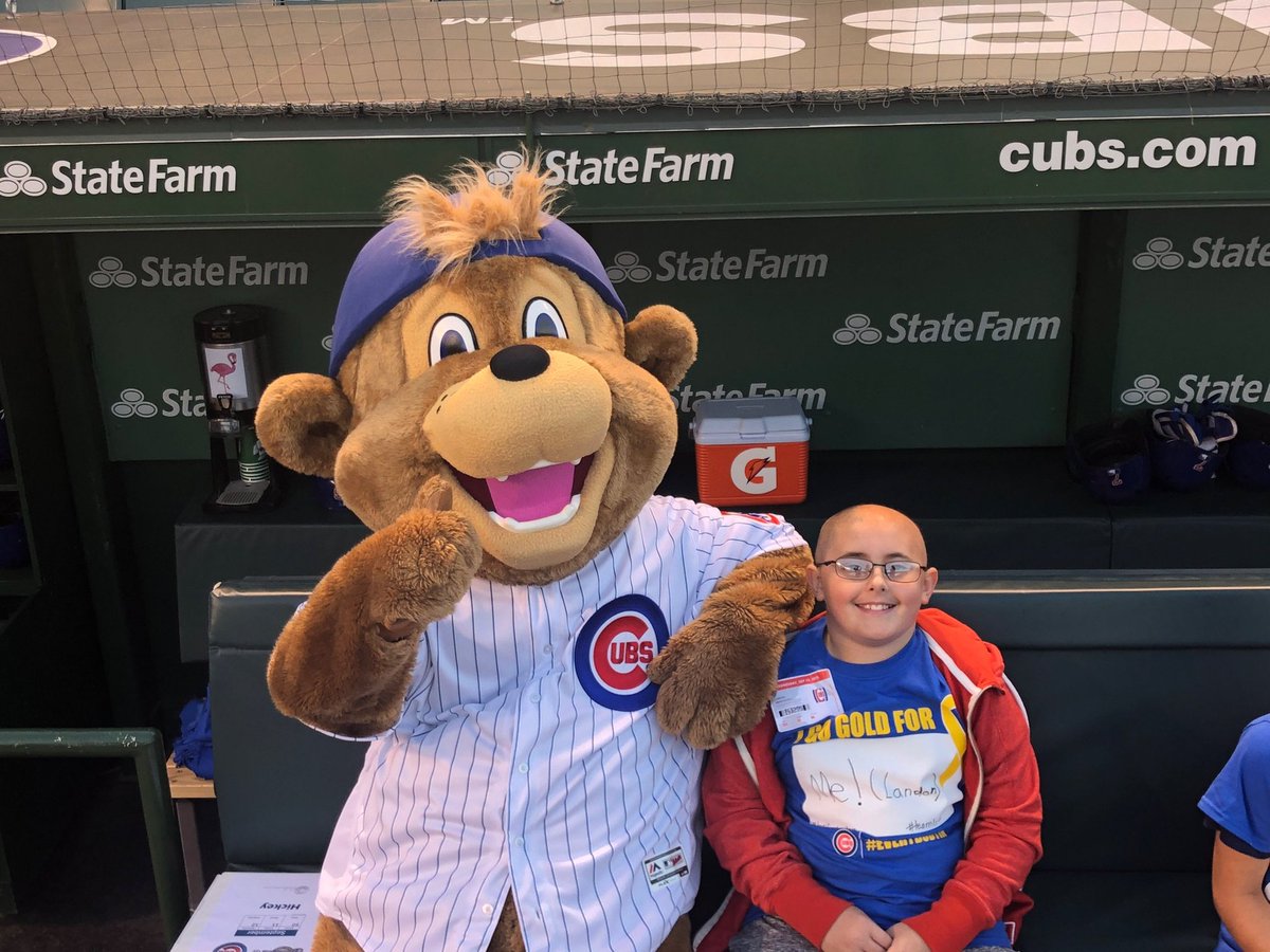 Samannpro5's tweet photo. Thank u @Cubs @ClarktheCub  &amp; @CubsJoeMadd for making these memories last year for Landon, his family will never forget our 💛 are broken our dear buddy earned his wings 8.13.19 after a very brave 2.5yr battle w/brain cancer
#teamljd #EverybodyIn #kcancer #turnwrigleygold #luries https://t.co/t9Farl5ae0