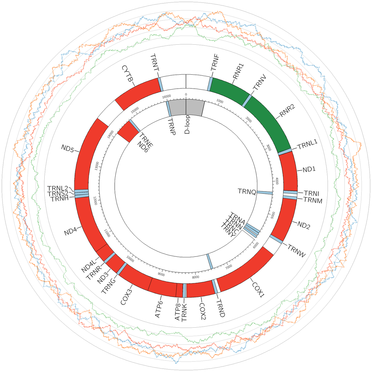 compilers backend to