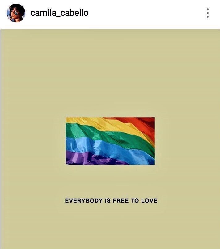 Camila has always shown her support to the LGBTQ+ community, saying that she loves them and they are not alone.