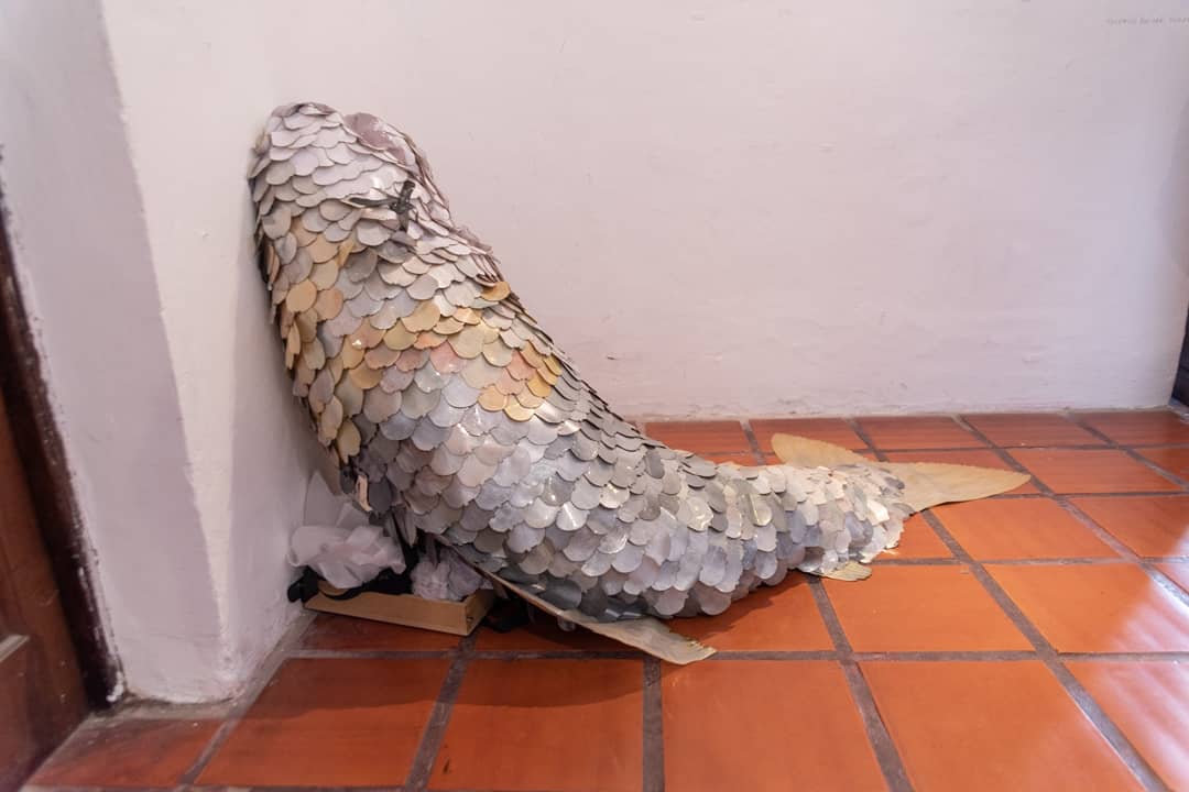 MercadoArteCba's tweet photo. Último día para recorrer #ZONABONINO hasta las 21 h en el Cabildo de Córdoba 📍
Espacio dedicado a galerías, espacios autogestionados y proyectos artísticos experimentales, alternativos y emergentes, con alcance latinoamericano. https://t.co/pnZ1QU2Bxz