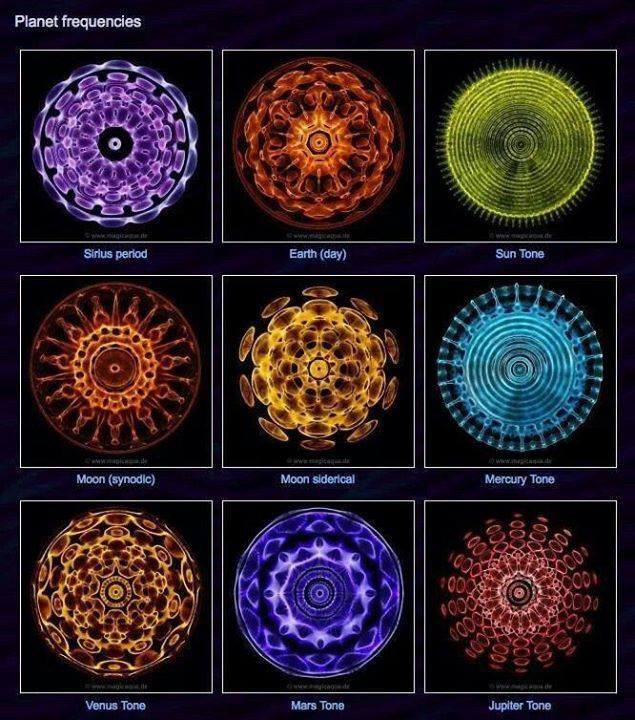 NassimHaramein's tweet photo. Cymaglyphs created from the fundamental frequencies of the planets, moon &amp; sun... 

#cymatics #cymaglyphs #frequency #vibration #sound #matter #energy #solarsystem #sun #earth #venus #mercury #mars #star #waves #geometry #sacredgeometry #planetfrequencies https://t.co/WoSPhJKnE6