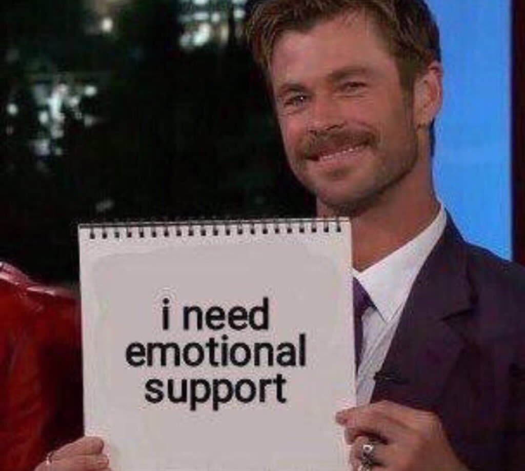 Danielle tweet media