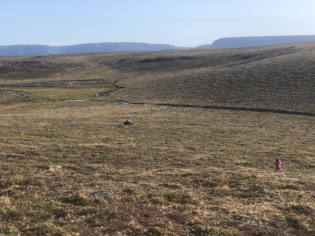 Shekatsak's tweet photo. Near this pingu-like hill, facing north, youโll find them. Even a patch of crow berries #Ataata #Instructions #WeFoundThem My baby girl is a little dot on the tundra #PondInlet https://t.co/SRWpXSjOk0