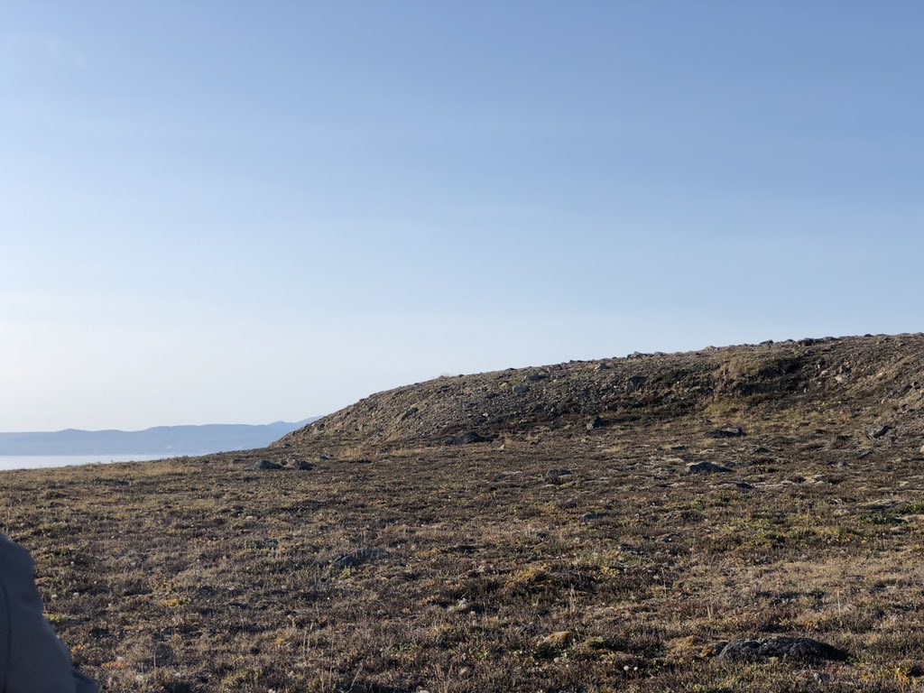Shekatsak's tweet photo. Near this pingu-like hill, facing north, youโll find them. Even a patch of crow berries #Ataata #Instructions #WeFoundThem My baby girl is a little dot on the tundra #PondInlet https://t.co/SRWpXSjOk0