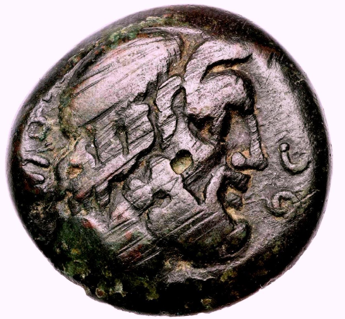 mekurilov's tweet photo. Bust of #Lycurgus:Coin of #Lakedaimon / #Sparta.After 146 BCE.Obverse:Bearded,filleted bust of L./ right.Inscrip. in Greek:'[Lyk] oyp [г] oc'(MFA Boston,a.n.65.636-65.870) https://t.co/eXxLeGsfW7