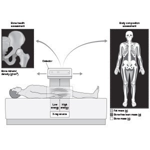 chemical structural and electronic analysis