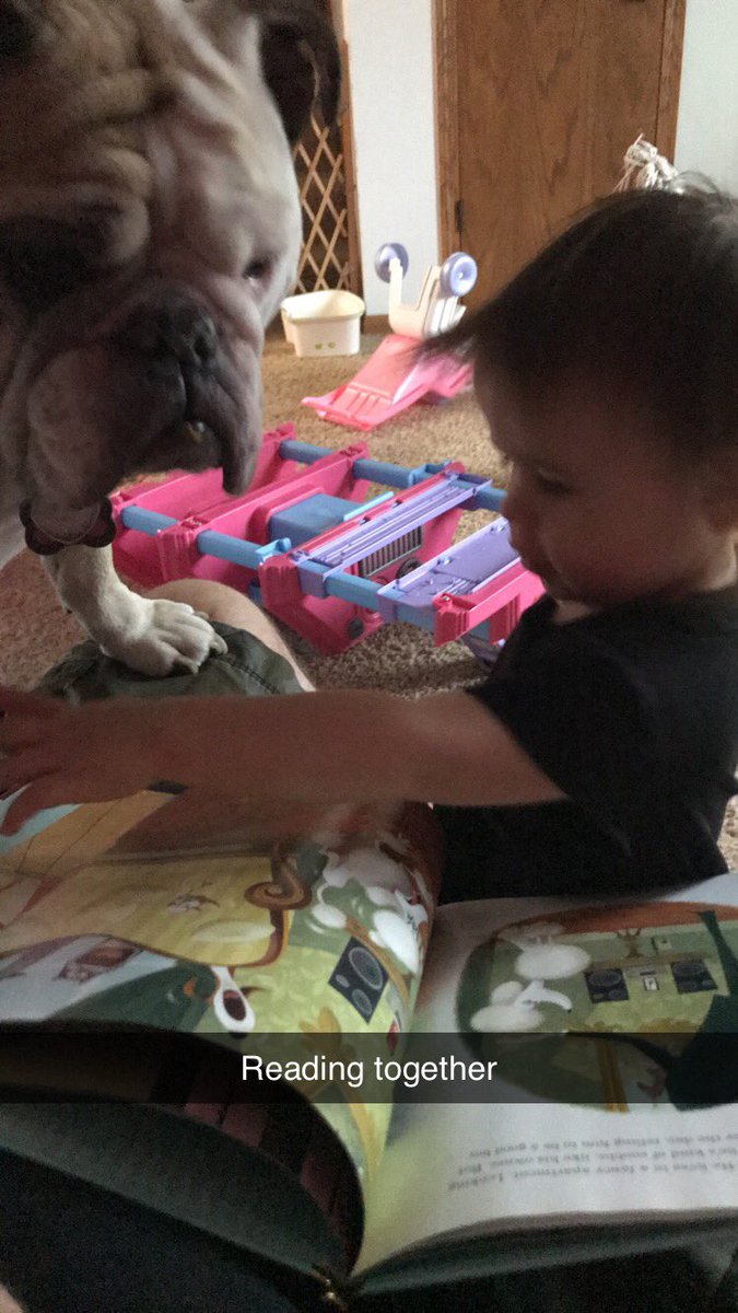 roxygirldm's tweet photo. Baby Sis was reading me a story. #Bulldog #sisters #diva https://t.co/yNAWhH1UHk
