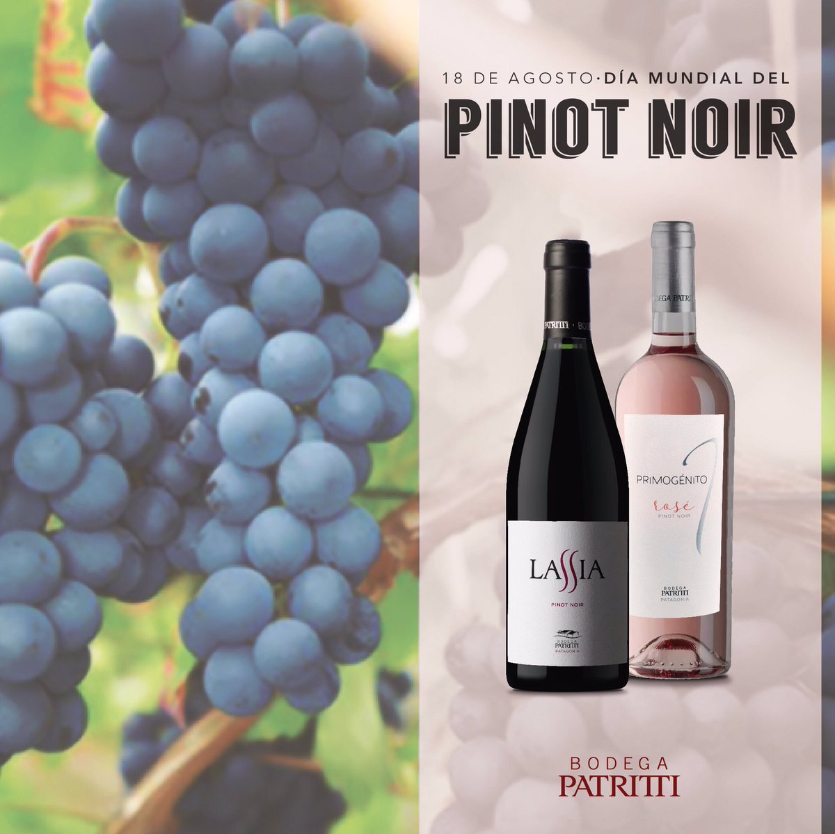 Feliz día a uno de los varietales emblema de nuestra amada #Patagonia ¡Salud #PinotNoir ! 🍷❤️

#PinotNoirDay
#DiaDelPinotNoir 
#winelover