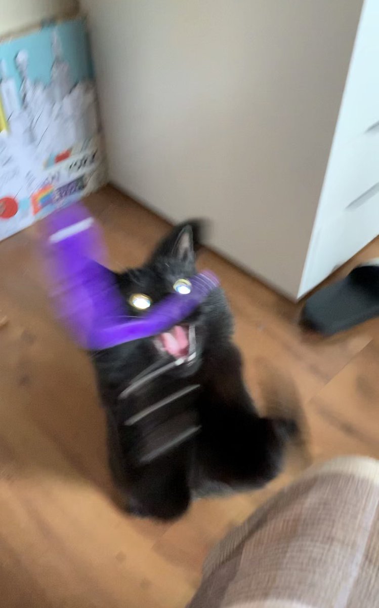 MidnightQween's tweet photo. Däyė twø (2) øv šévón (7) pikšüré çhâleng!
Tødäî îm ñômīnat Mī füreñd @Pooky12830730 īf thëy wäńtš töø ásêpt! Thëè rùlëz àr: ñø hôømâns, õmłÿ ämïnâls, ño çøntêxt âmd ñômīnat â ñüw fúręnd êvrÿdäi!💞💞💞 https://t.co/KRdlFyDwAq