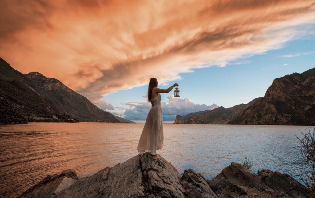 Bruce W. tweet media