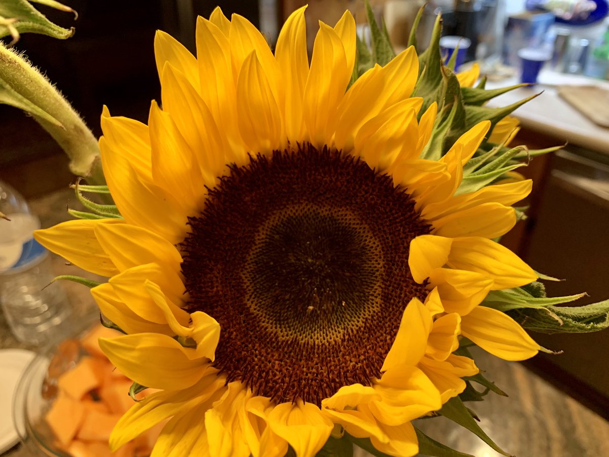 DaveyLissa's tweet photo. New week coming up! Hope something good comes your way! #SupportIndieFilm #womeninfilm #Documentary  #beyondsixtyproject #nevertooold https://t.co/e2e3XD6VPK