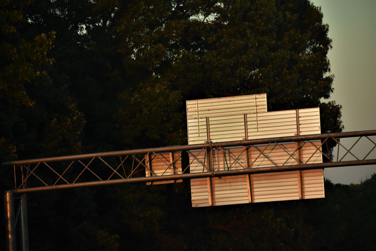 AxleWiley's tweet image. y o u t h